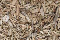 biomass boilers Llandevenny